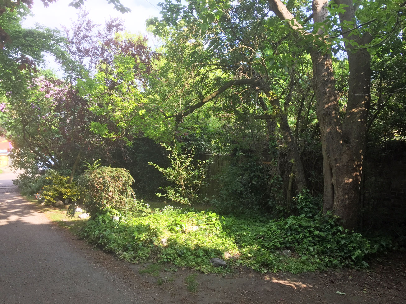 Heathway-8