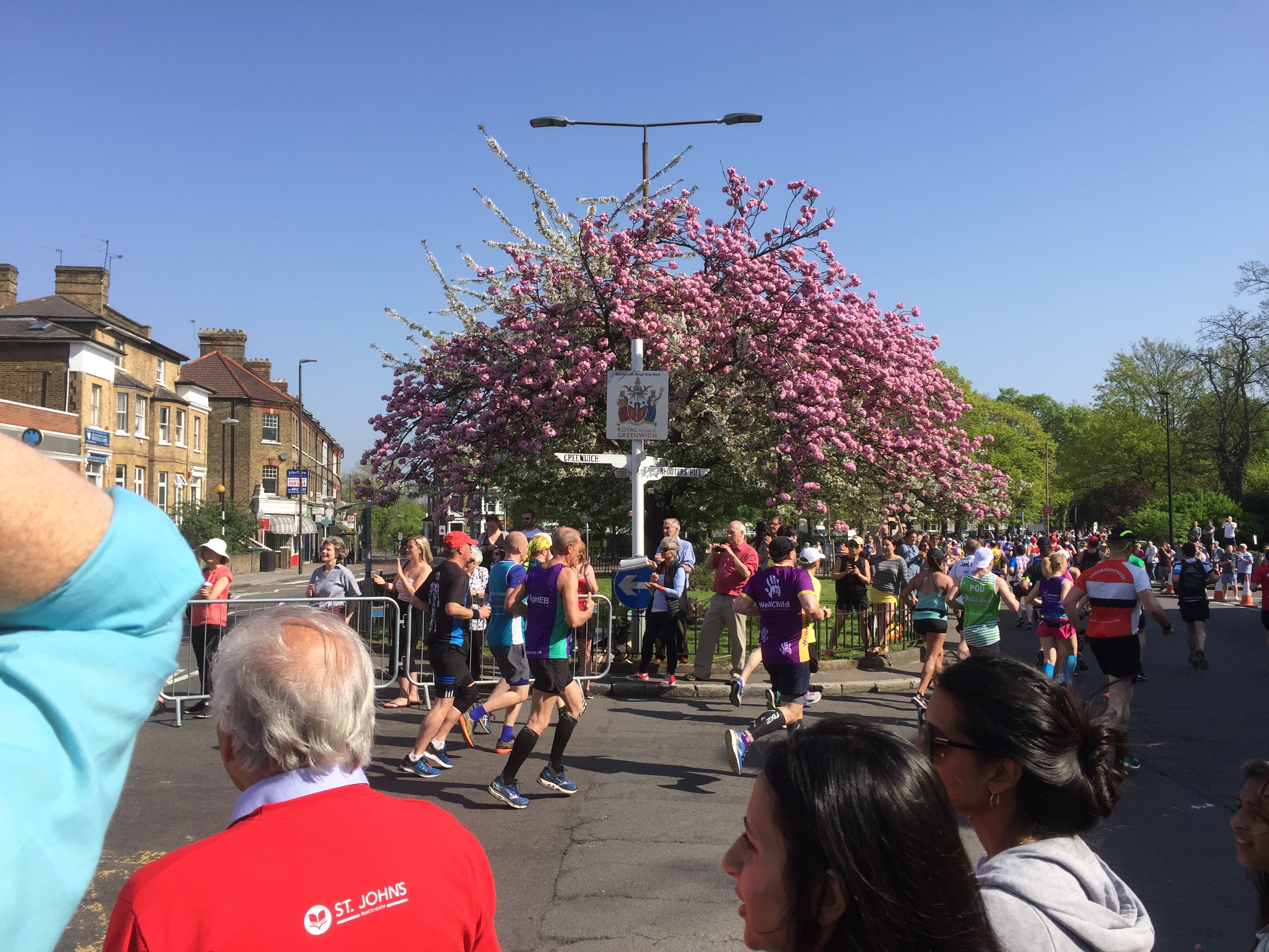 Cherry Blossom Marathon
